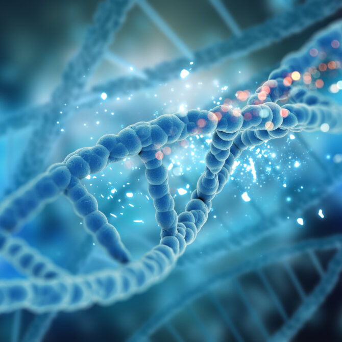 Granice minimalizmu: ekstremalna redukcja genomó w symbiozach piewików - dr hab. Anna Michalik, prof. UJ